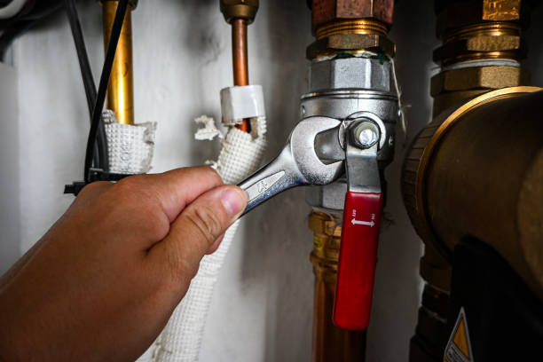 Best Plumbing Inspection Services  in Hayward, WI